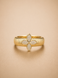 Anillo