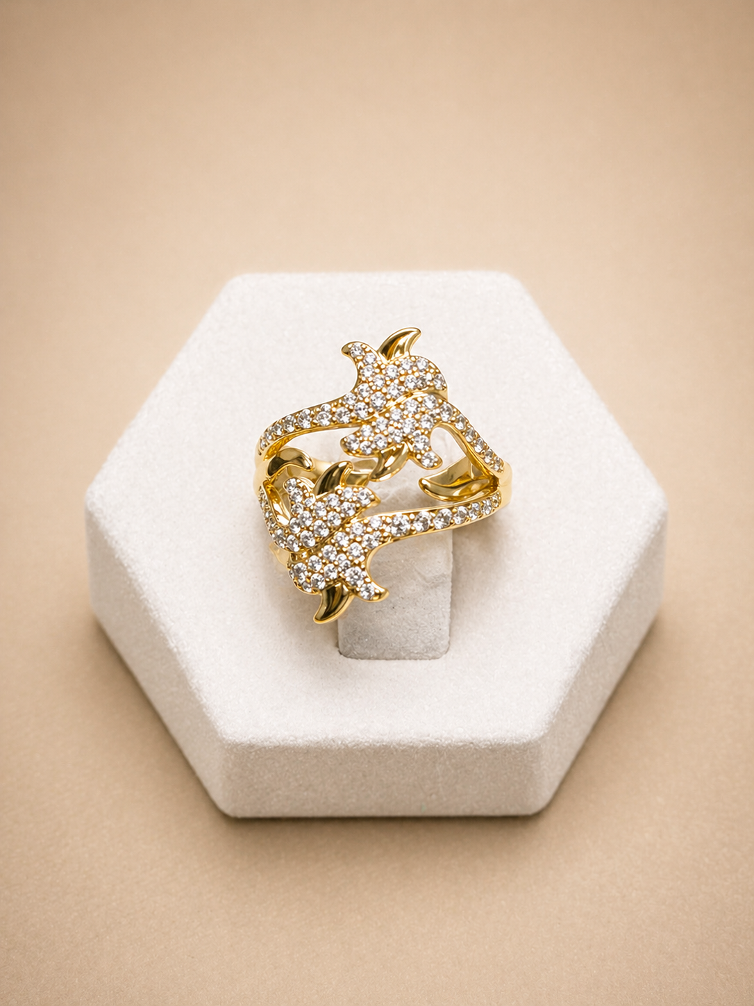 Anillo